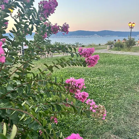 Sea Солнечный берег